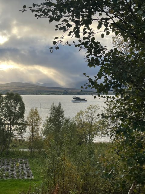 Great location, close to Telegrafbukta! Apartment in Tromso