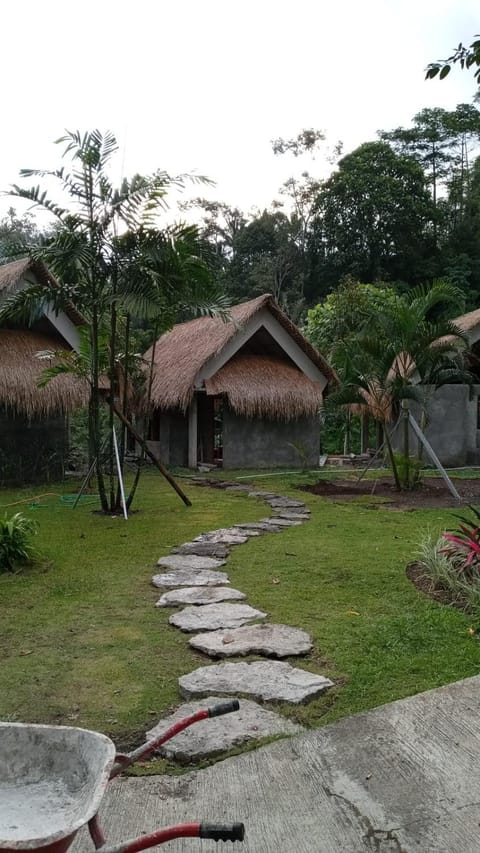 Secret forest waterfall retreat Bed and Breakfast in Payangan