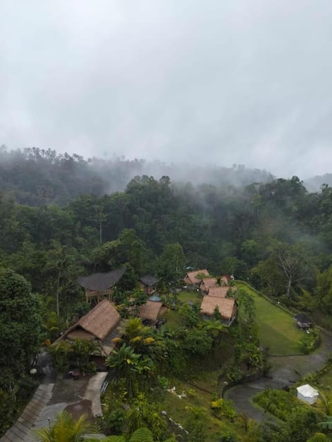 Secret forest waterfall retreat Bed and Breakfast in Payangan