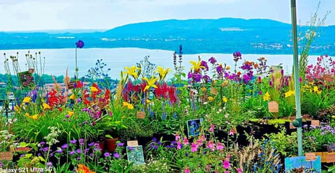 Nearby landmark, Garden, Lake view, Mountain view