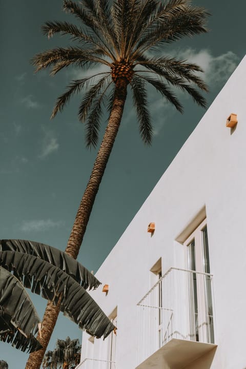 Property building, Balcony/Terrace