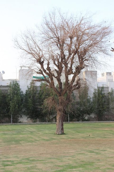 The Five Senses-Suite Rooms with Pool Farm Stay in Jaipur