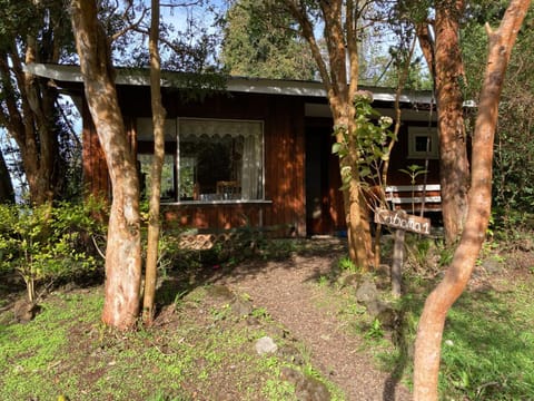 Property building, Spring, Natural landscape, Garden, Garden view