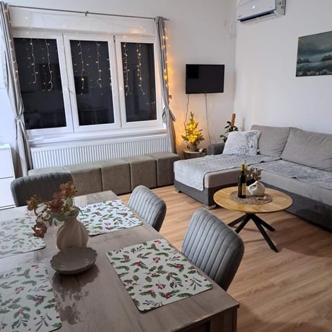 Vila Jana Villa in Novi Sad