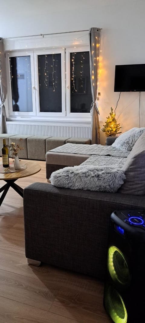 Vila Jana Villa in Novi Sad