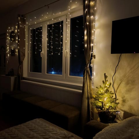 Vila Jana Villa in Novi Sad