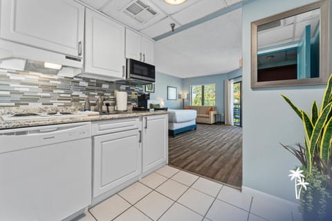 Balcony/Terrace, Kitchen or kitchenette, Photo of the whole room, microwave
