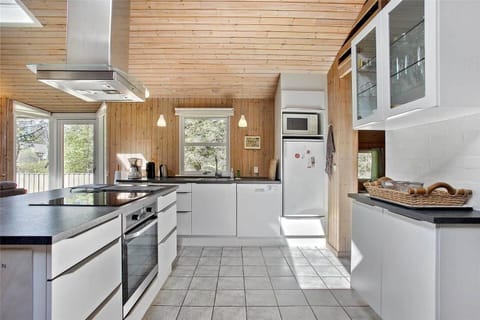 JB255-Fjerritslev-Blabaerstien-22 House in Denmark