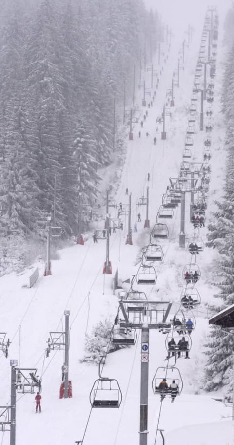 A vacation home just for you ! House in Xonrupt-Longemer