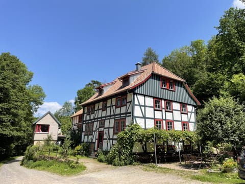 Property building, Summer