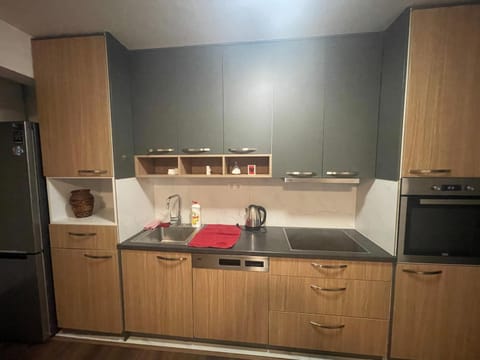 Erisa Apartment Apartment in Serbia