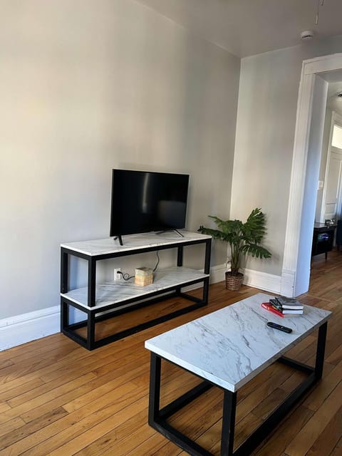 South Loop 3 Bedroom Apt Apartment in South Loop