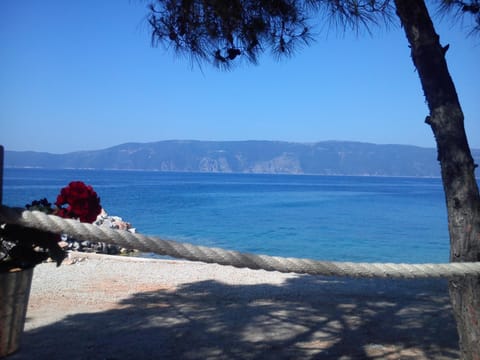 Natural landscape, Beach