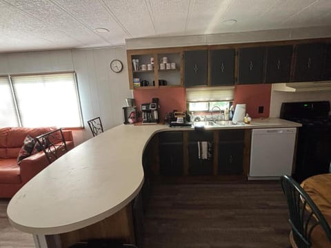 Kitchen or kitchenette, Dining area, dishwasher
