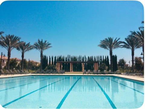 Swimming pool, sunbed