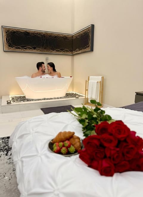 Wot Luxury Silver Center Apartment in Timiș County