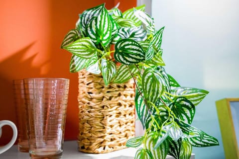 Luxury Miami Studio Next to Beach & Airport Apartment in Miami