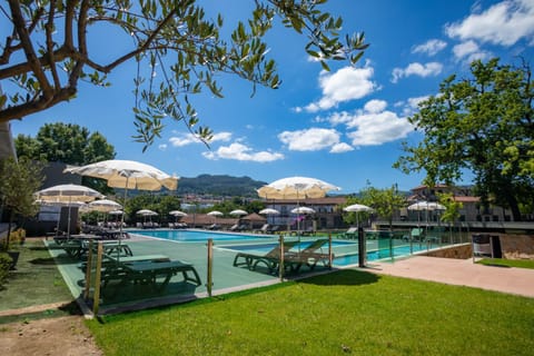 Garden, Pool view, Swimming pool