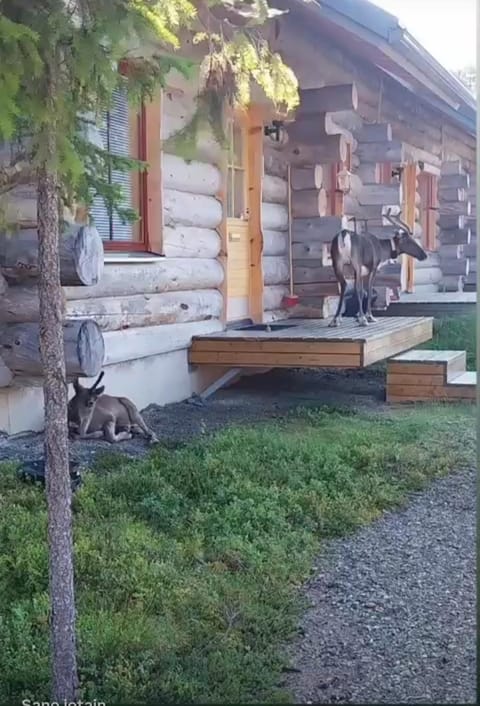 Holiday Home Lumikieppi Apartment in Norrbotten County, Sweden