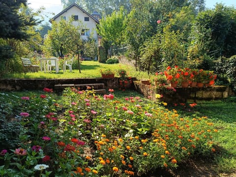 Garden, Garden view