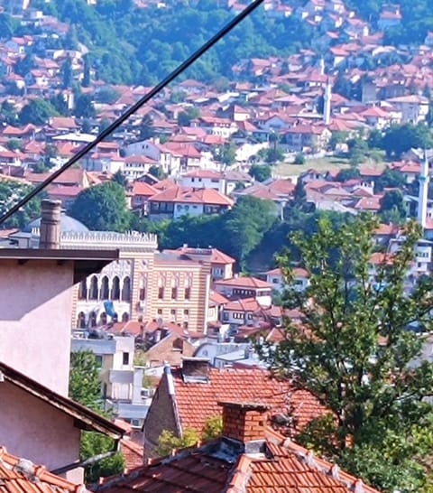 City view