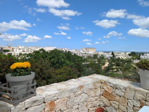View (from property/room), Balcony/Terrace