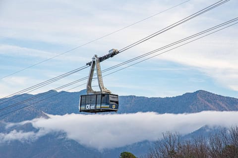 Ober Lux Chalet Chalet in Chalet Village