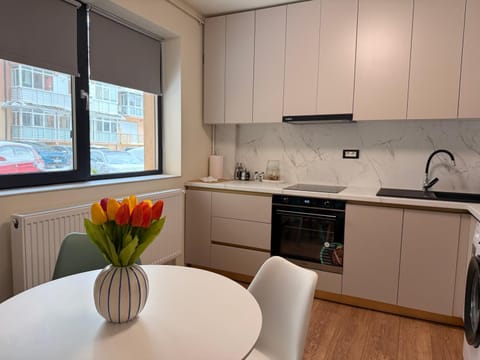 Aristizza Studio Apartment in Craiova