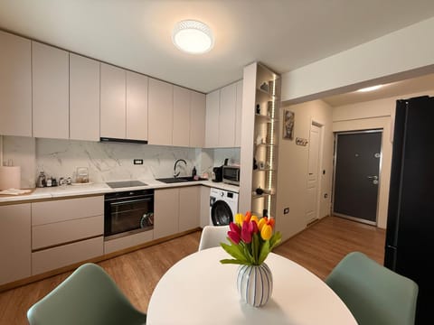 Aristizza Studio Apartment in Craiova