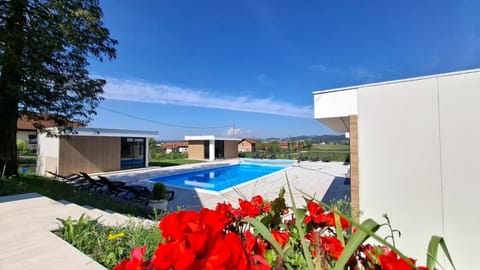 Spring, Day, Garden view