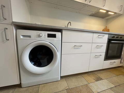 Bright furnished Studio with workspace and garden area near Zurich Apartment in Canton of Zurich