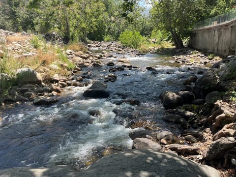 Riverfront with EV charger - Sequoia River Cottage House in Three Rivers