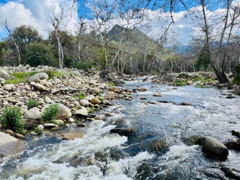Riverfront with EV charger - Sequoia River Cottage House in Three Rivers