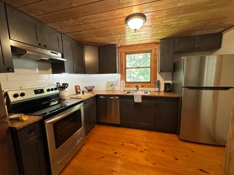 Kitchen or kitchenette, dishwasher, oven, stove