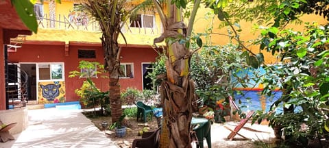 Patio, Day, Garden, Garden view