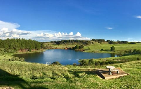 Natural landscape, Garden, River view