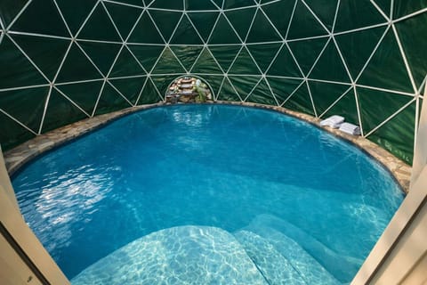 Melrose Place Poolside Hideaway Heated Pool All Year Ideal for Groups Sleeps 6 plus Apartment in Victoria