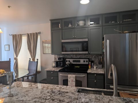 Peaceful Sunny Ski Out Ski In Condo, Parking, Pets Apartment in Telluride