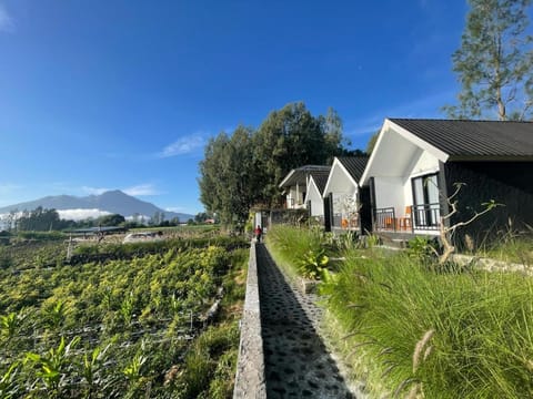 The Iris Vulcano's Vacation rental in Karangasem Regency