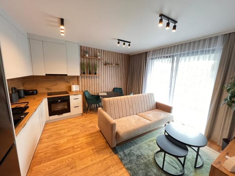 Kitchen or kitchenette, Living room, Seating area, stove