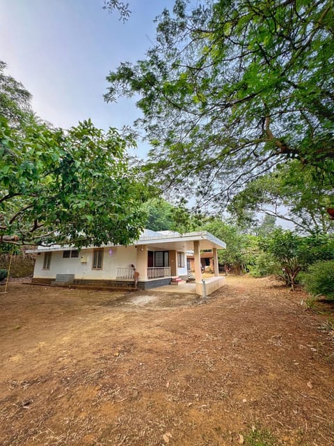 Property building, Day, Garden