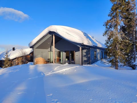 Villa Kinoskulma Villa in Lapland