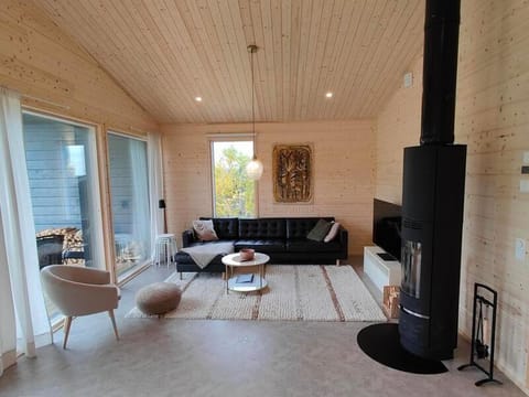 Villa Kinoskulma Villa in Lapland