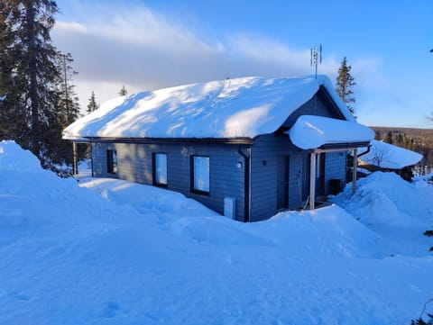 Villa Kinoskulma Villa in Lapland