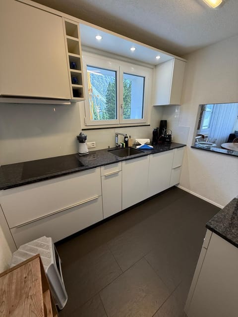 Kitchen or kitchenette, dishwasher, stove