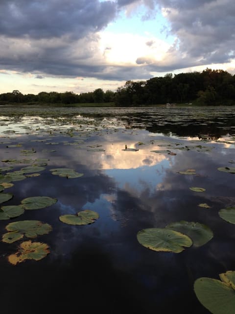 Secluded Lake Retreat - Private Beach, Pier & Fire Pit House in Fox Lake