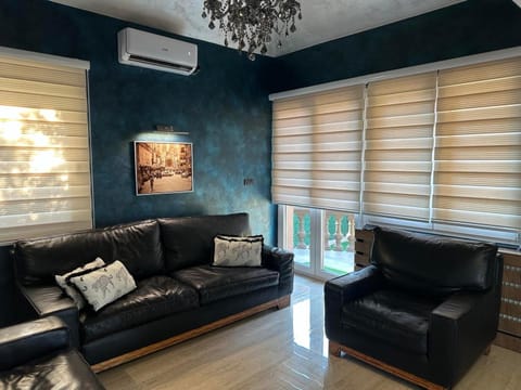 TV and multimedia, Living room, Seating area, air conditioner