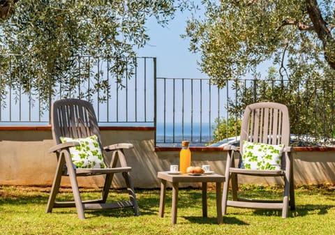 Patio, Spring, Garden, Garden, Sea view