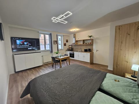 Bed, TV and multimedia, Kitchen or kitchenette, Photo of the whole room, Seating area