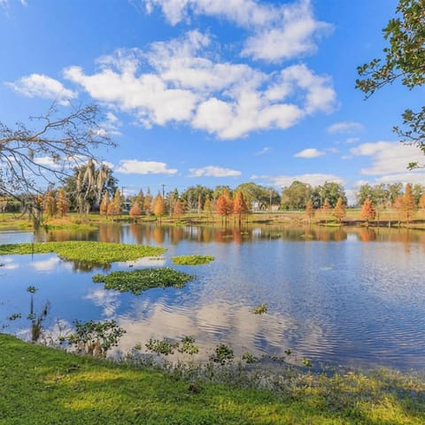 Stunning Home w Heated Saltwater Pool & Pond View House in Temple Terrace
